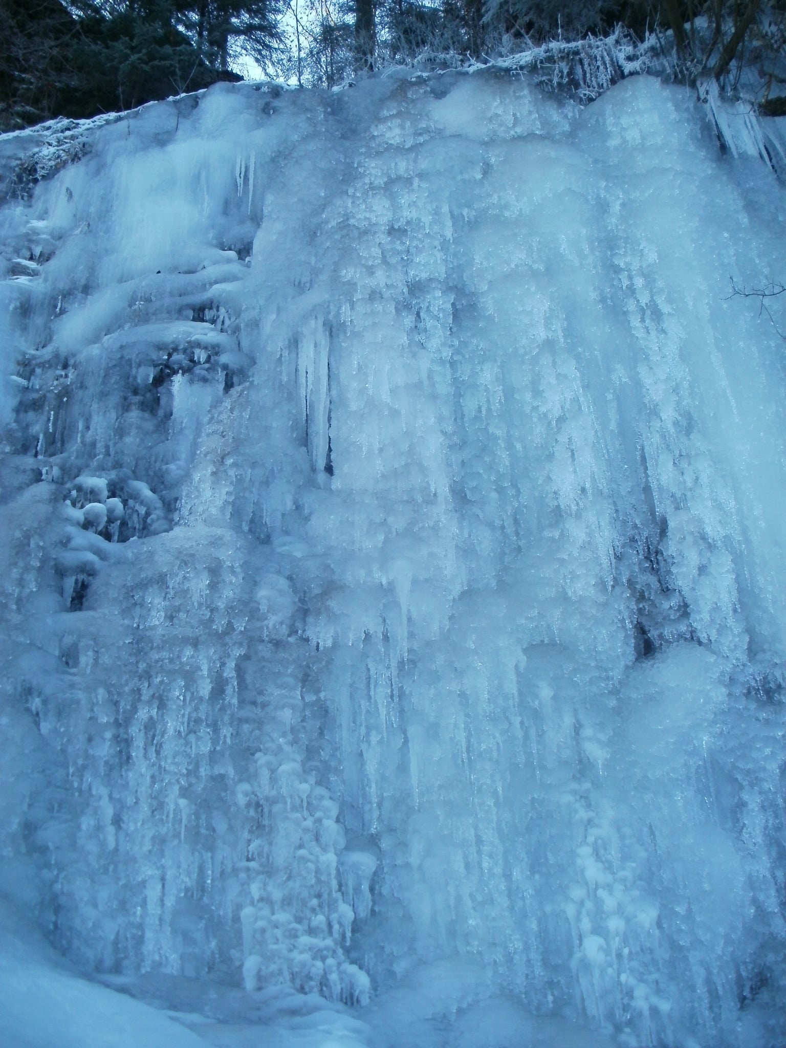 Замерзли навіть водоспади. У Сколівських Бескидах здивували фотографіями зимової природи