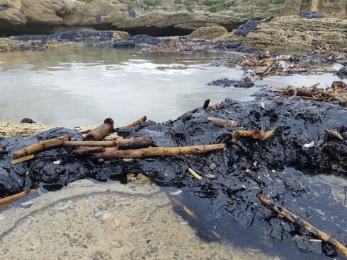 Екологічна катастрофа — 150 км морського узбережжя покриті нафтопродуктами та тілами тварин (відео, фото)