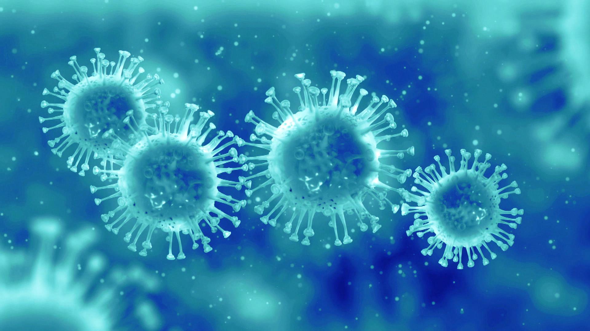 Пташиний грип H5N1: ООН закликає до глобальної відповіді на безпрецедентне поширення вірусу