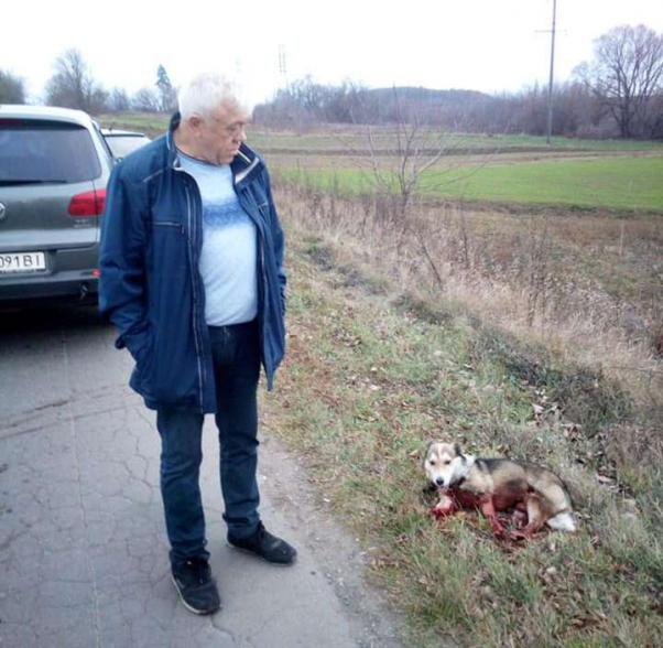 Директор державного архіву Хмельницької області Володимир Байдич