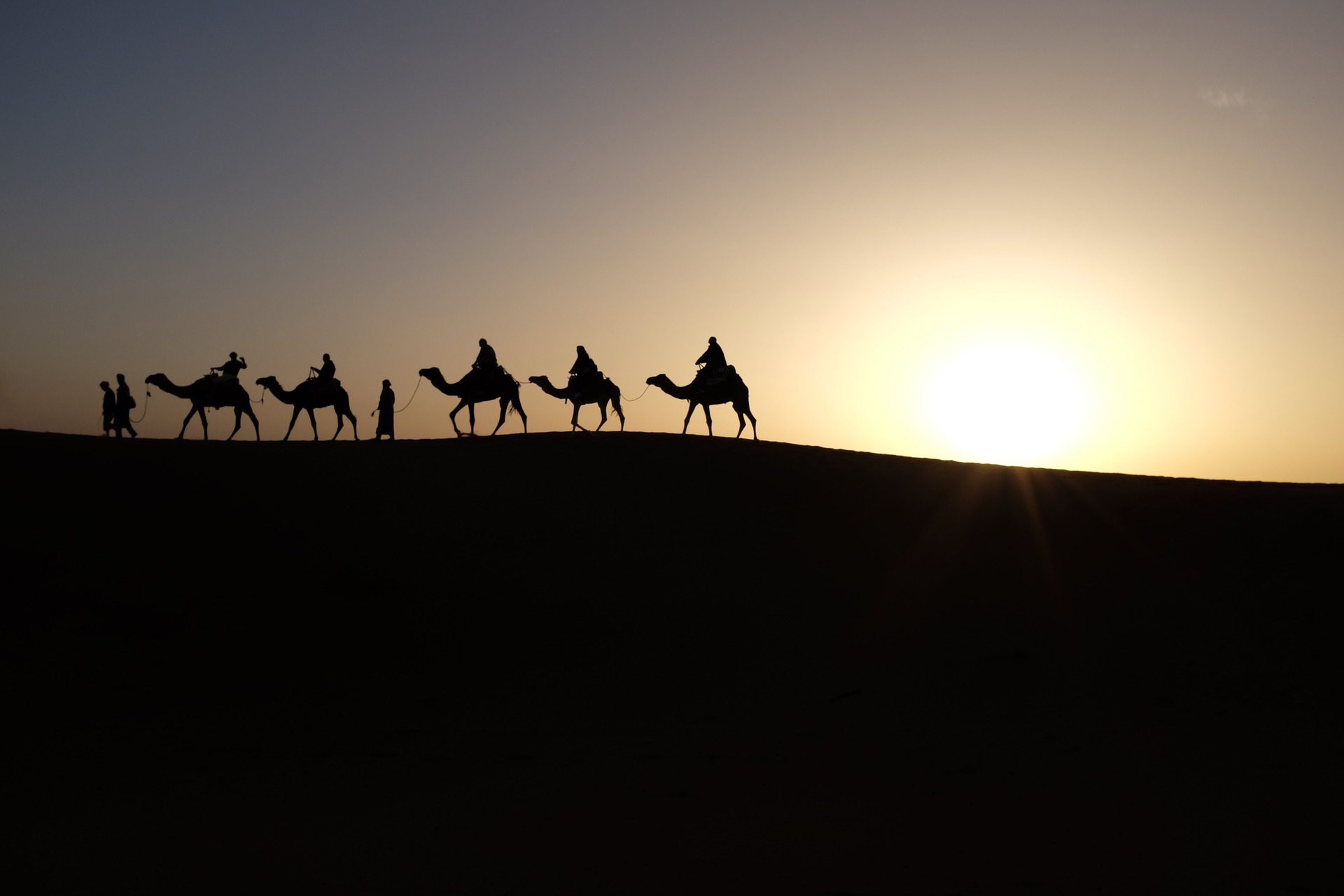 Image by <a href="https://pixabay.com/photos/?utm_source=link-attribution&amp;utm_medium=referral&amp;utm_campaign=image&amp;utm_content=1149803">Free-Photos</a> from <a href="https://pixabay.com/?utm_source=link-attribution&amp;utm_medium=referral&amp;utm_campaign=image&amp;utm_content=1149803">Pixabay</a>