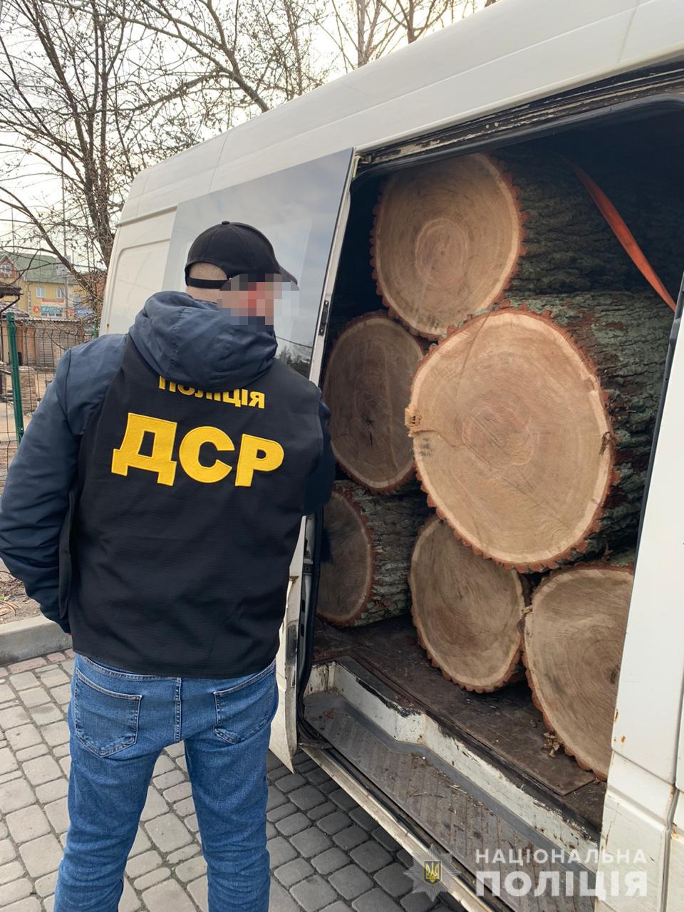 офіцер поліції оцінює обсяги деревини, які вкрали під час останньої рубки. Фото Національної поліції