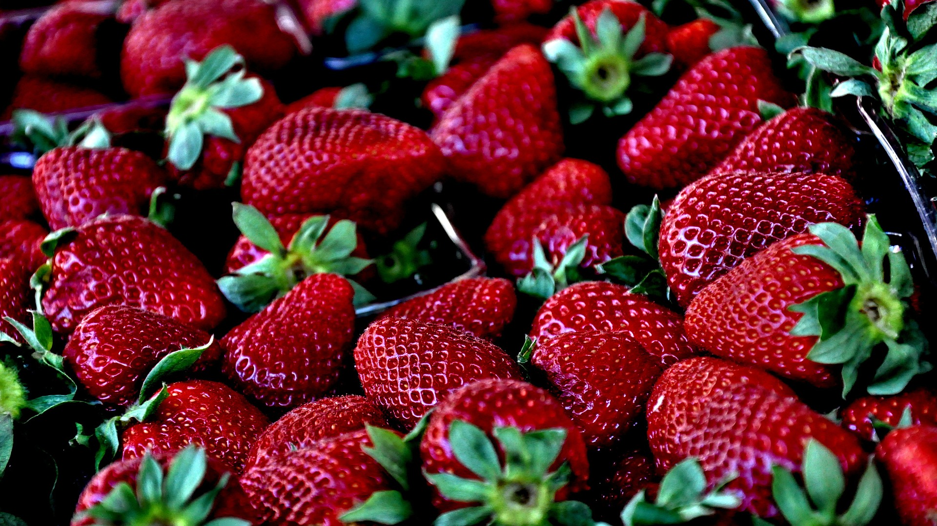 Фото: Jenő Szabó / Pixabay 