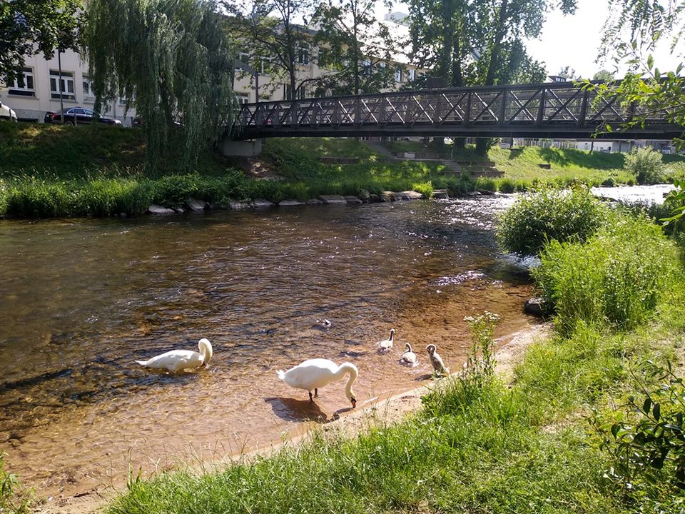 Фото: facebook Ференца Баки