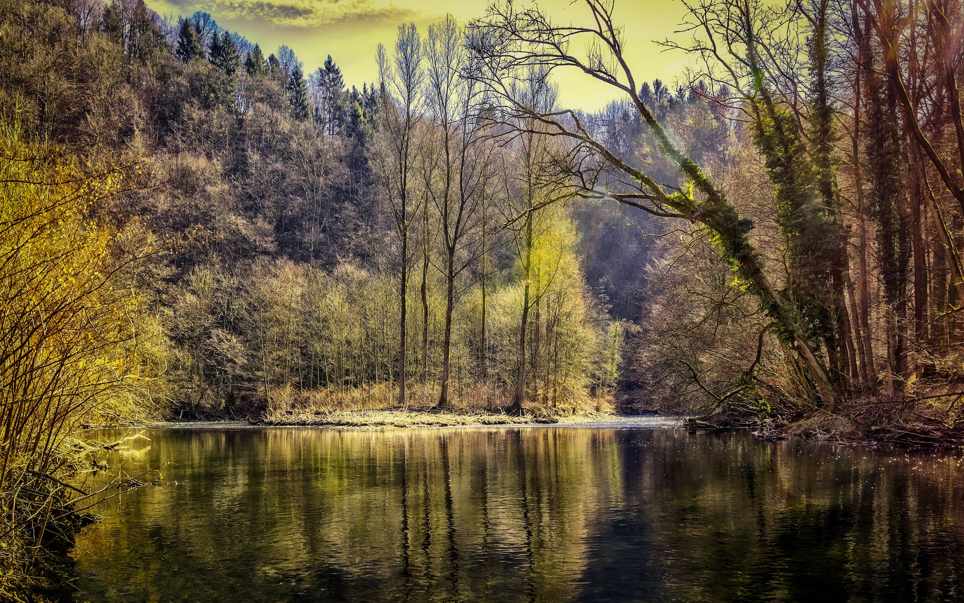 Кому дістанеться «вода», «риба» та «ліс»? Image by Peter H from Pixabay