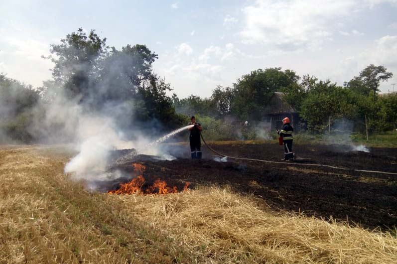 За сутки в Днепропетровской области выгорело 97 га земли (фото, видео) Фото: ГСЧС Днепропетровской области