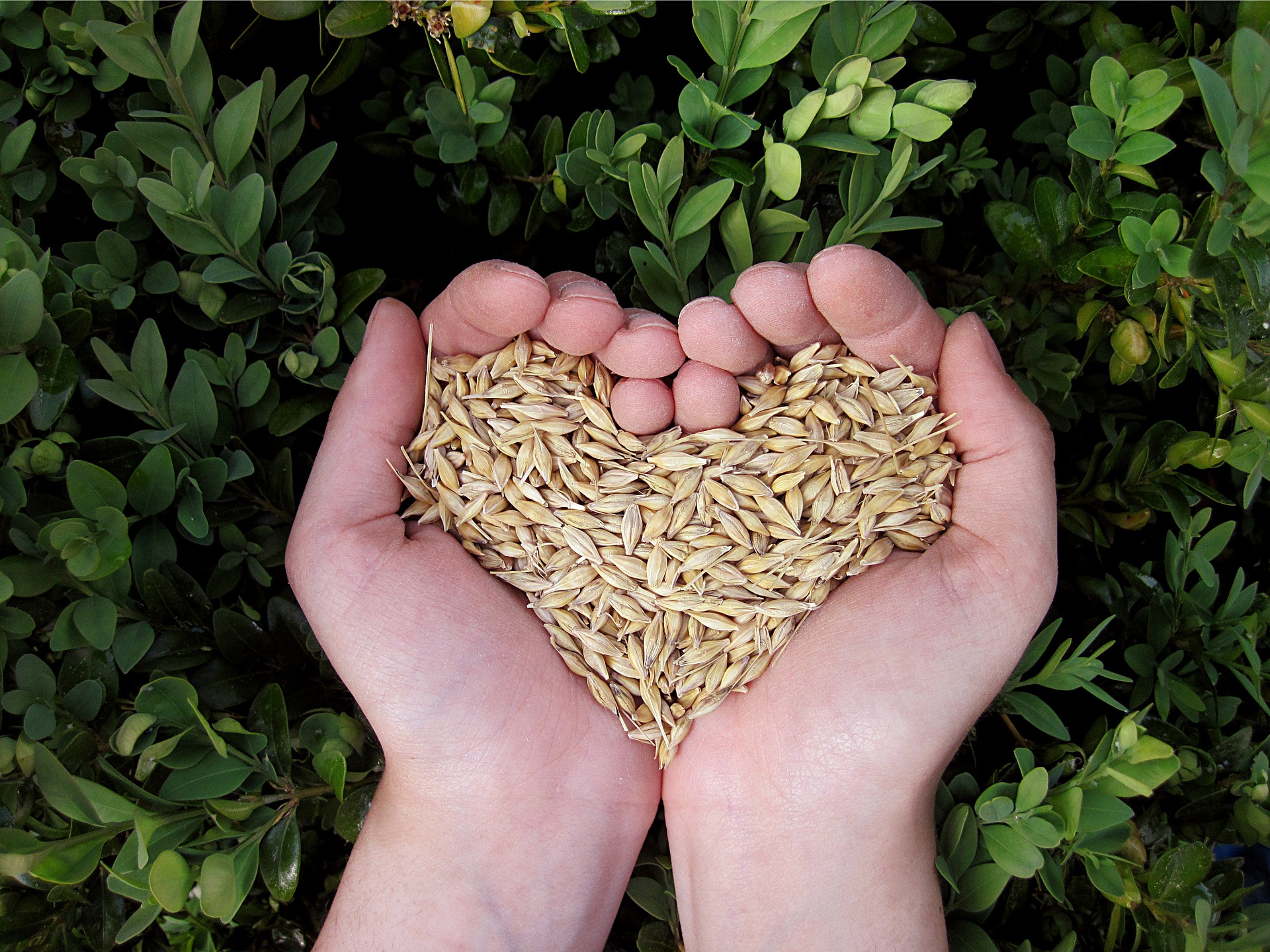 Image by Miriam Müller from Pixabay 