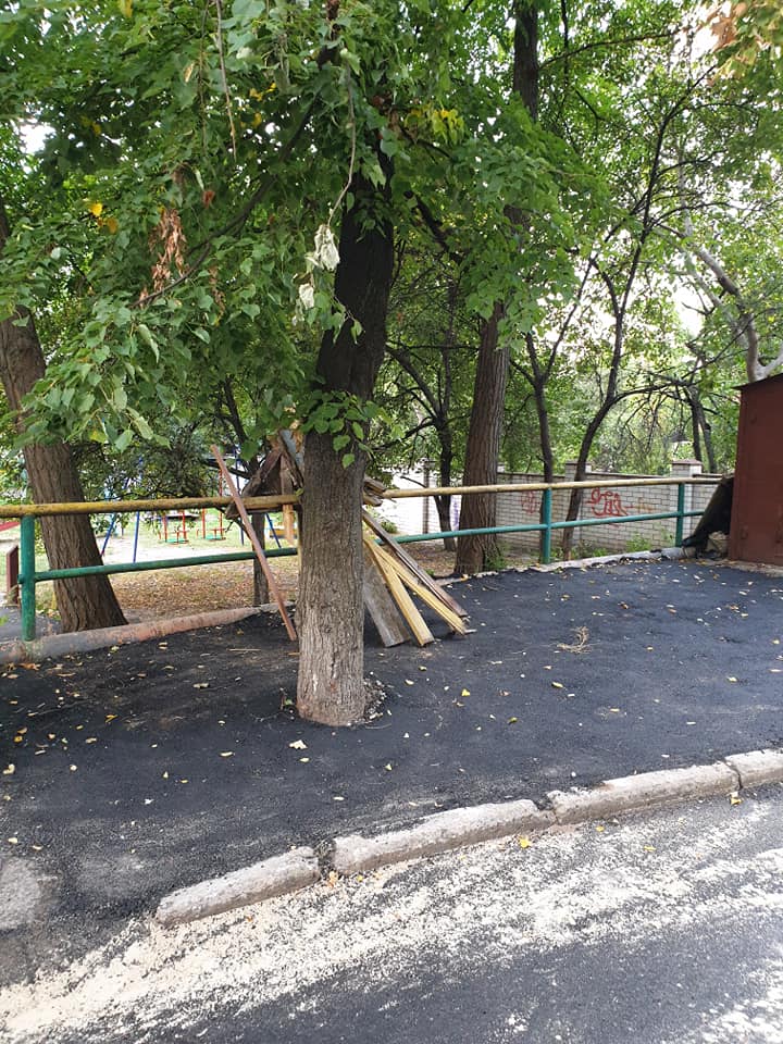 В Киеве заасфальтировали дерево: «замуровали, демоны» (фото)