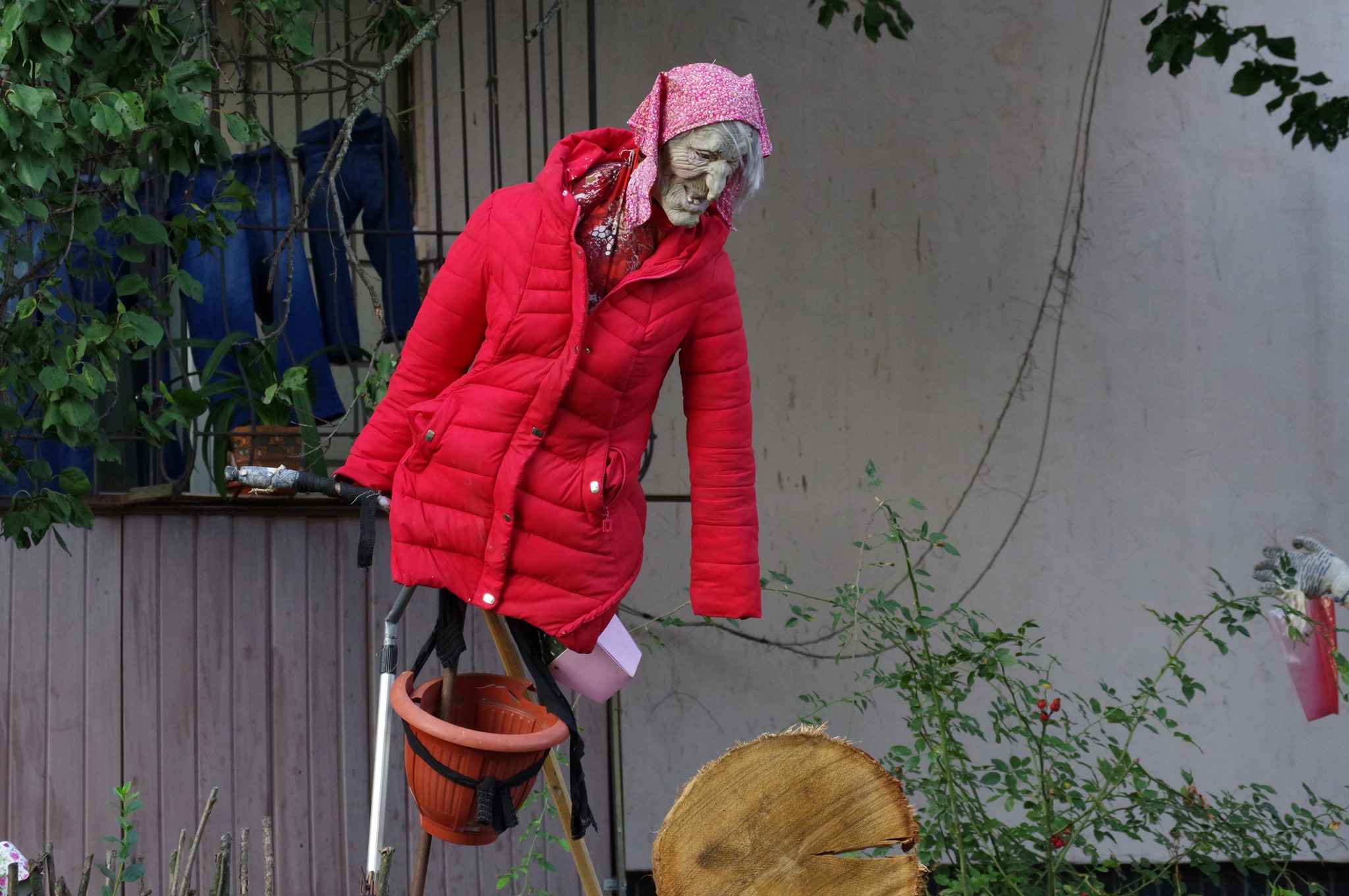 В столице есть цветник, вызывающий ужас и улыбки (фото)