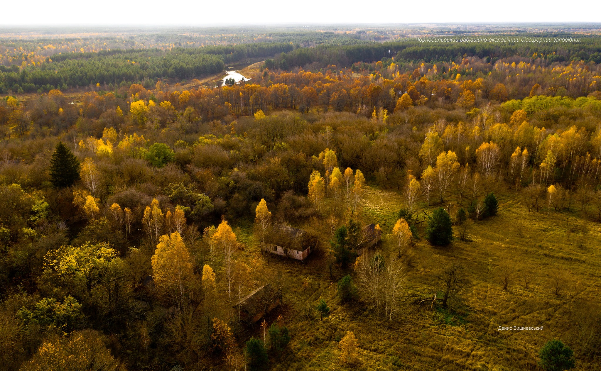 Показали осень в Чернобыльском заповеднике (фото) Фото: Денис Вишневский