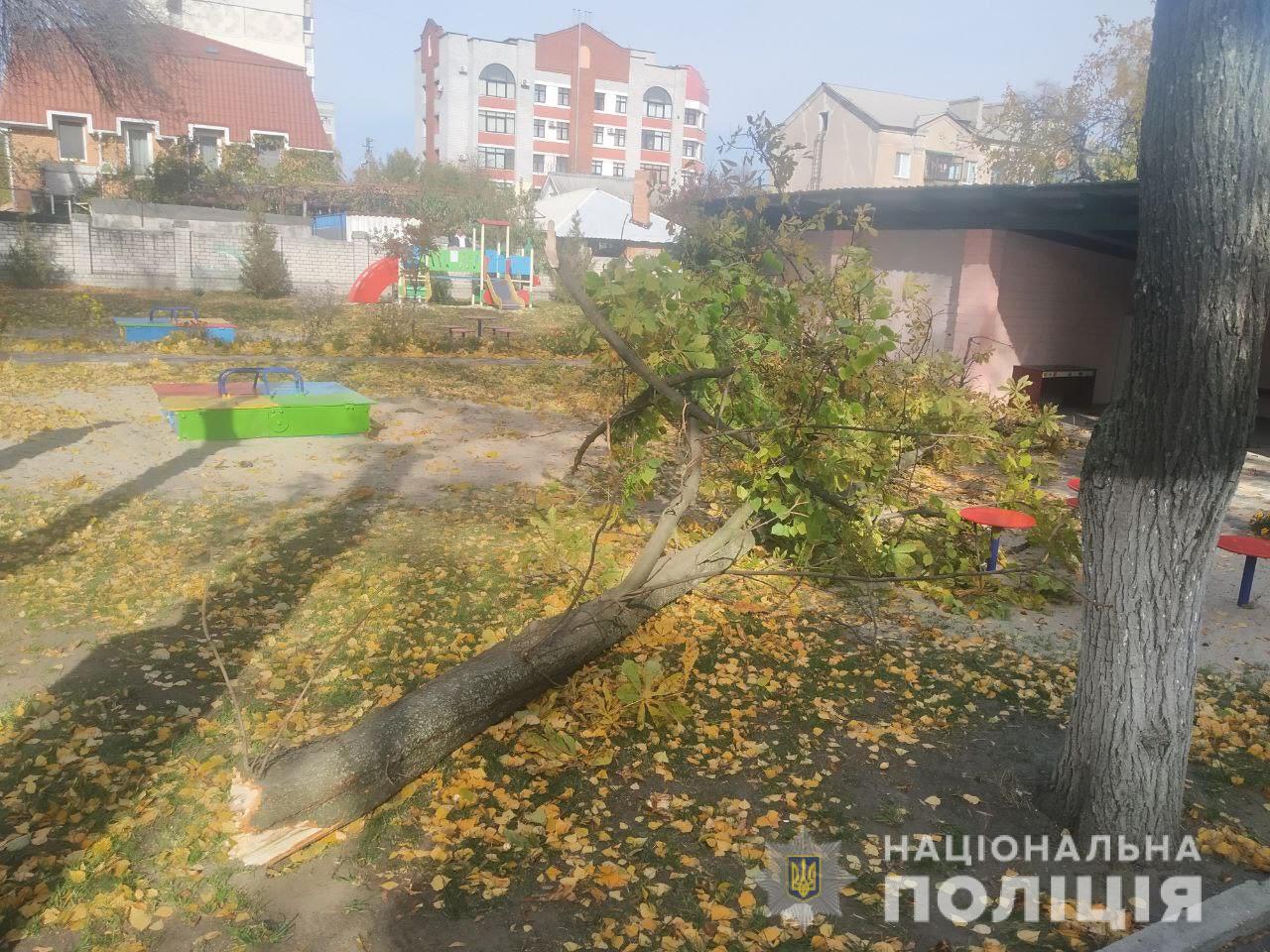 Фото: Нацполіція