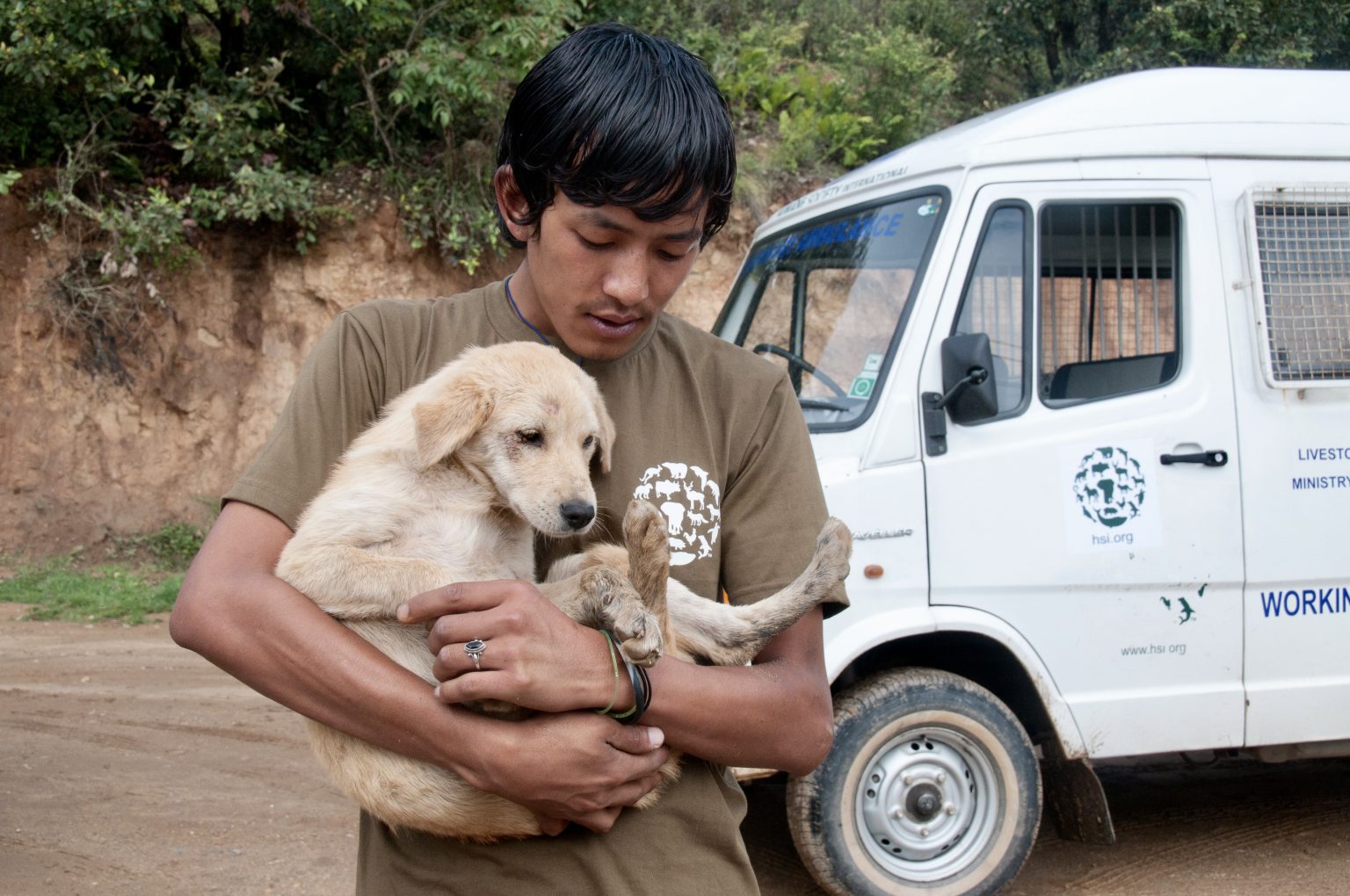 У Бутані стерилізували і вакцинували всіх вуличних собак