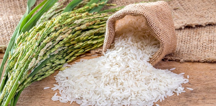 В Индии фиксируют избыток запаса риса