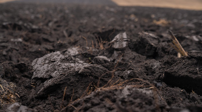 Ненадлежащее хранение пестицидов на Тернопольщине: химикаты лежат под открытым небом и отравляют землю