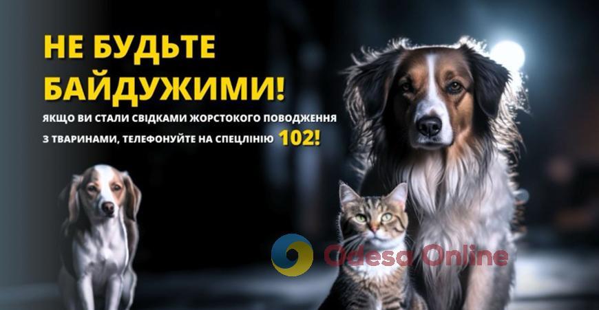 Убил на глазах у детей: житель Одесской области может сесть на пять лет за смерть собаки Убил на глазах у детей смерть собаки