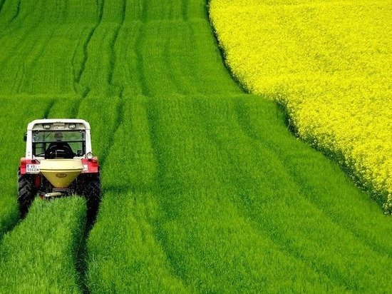 Членство в ЕС для украинского агросектора откроет много возможностей – Тарас Высоцкий Pixaba