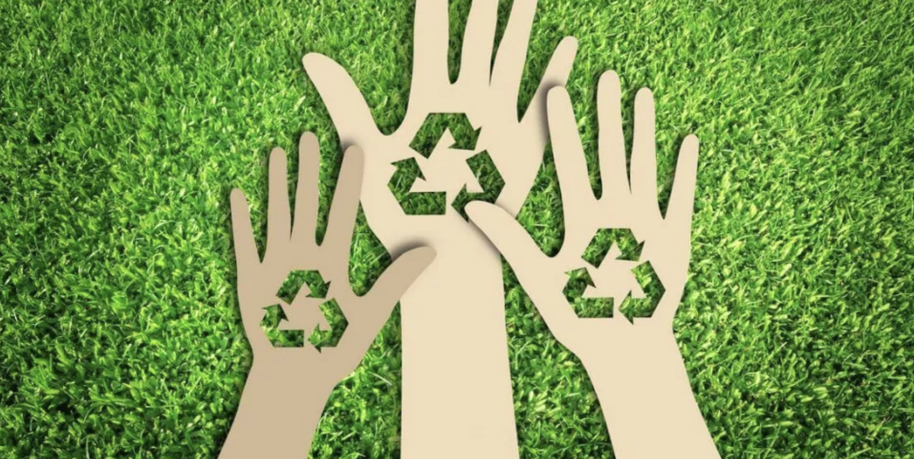 Всемирный день ресайклинга: сколько мусора продуцирует один человек и что можно перерабатывать Избегайте одноразовых продуктов и ненужной упаковки