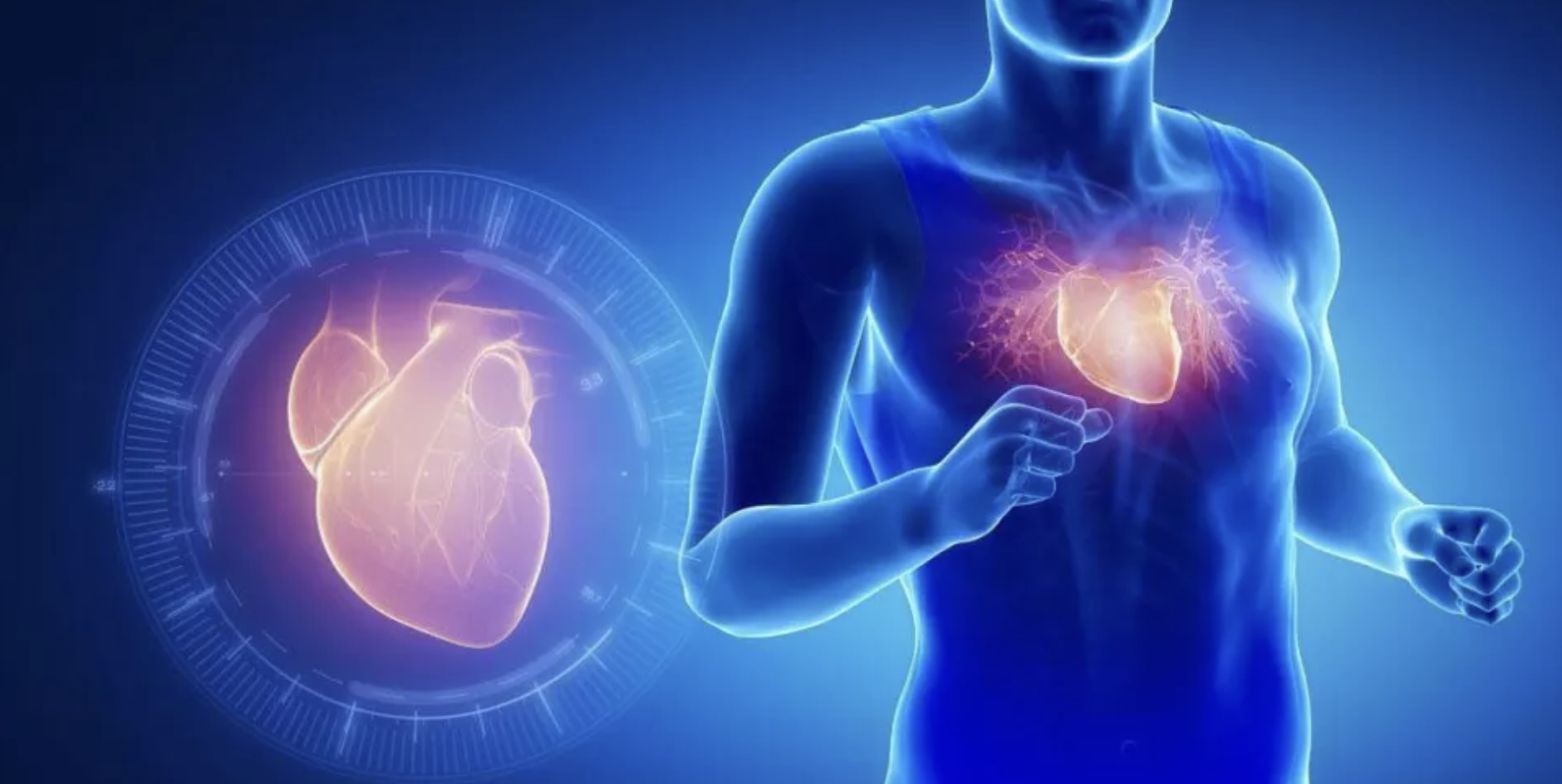 Алгоритм искусственного интеллекта предусмотрел риск инфаркта миокарда у пациентов
