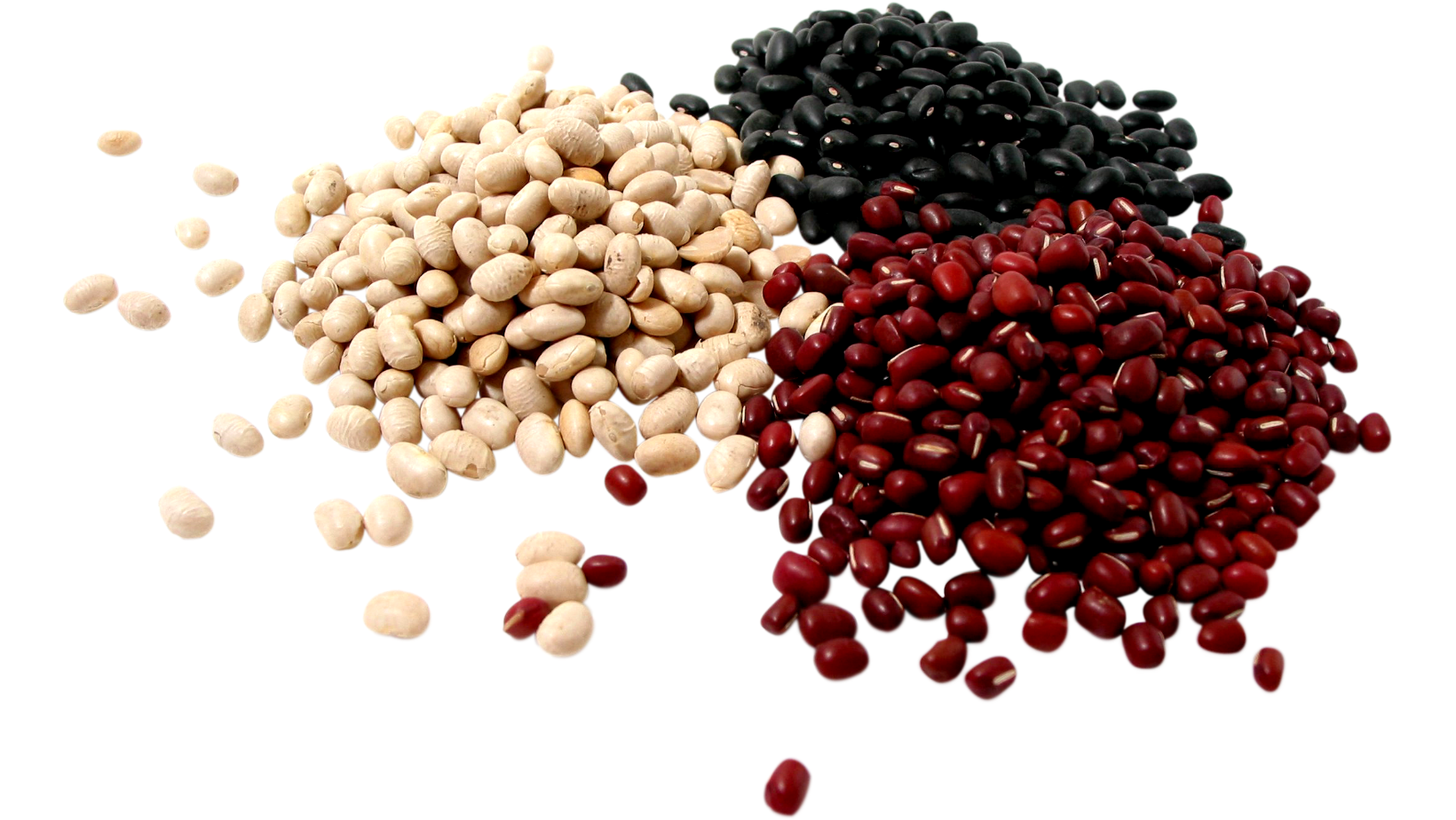 Как сохранить фасоль, чтобы не завелись жучки Советы как хранить фасоль