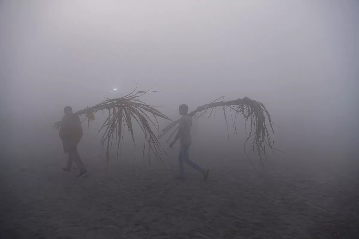 дети тащат растения в тумане