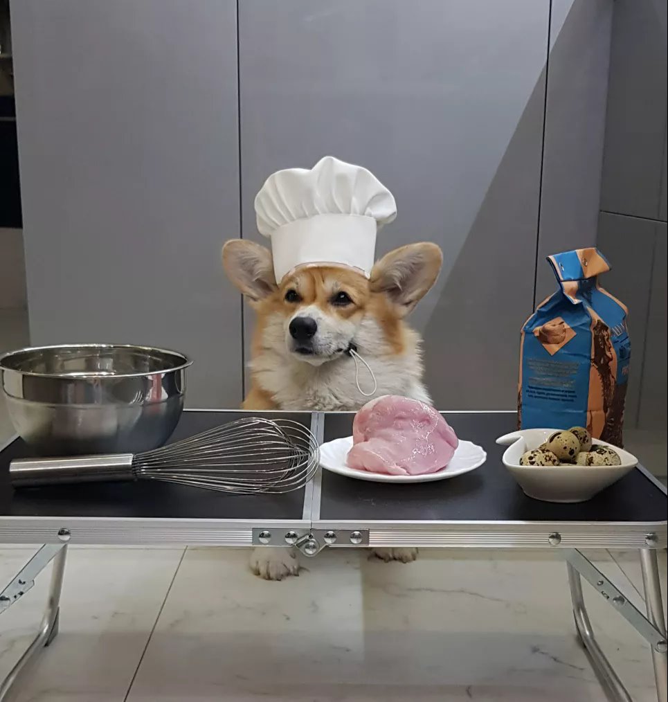 Кафе Woof-Woof: где каждой собачке рады Кафе Woof-Woof | кафе в Киеве, в которое можно с песиками