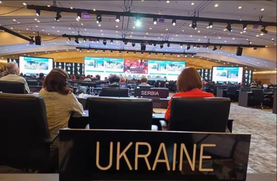 Украина впервые вошла в Комитет всемирного наследия ЮНЕСКО