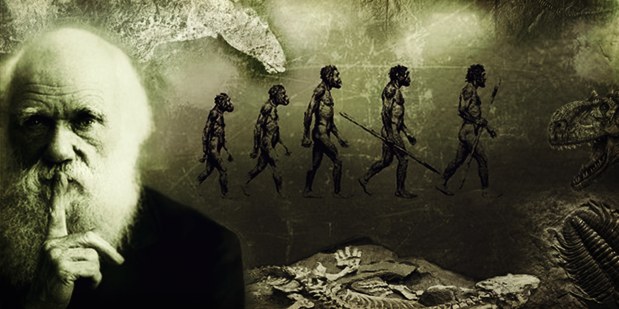 Чарльз Дарвин — создатель теории эволюции