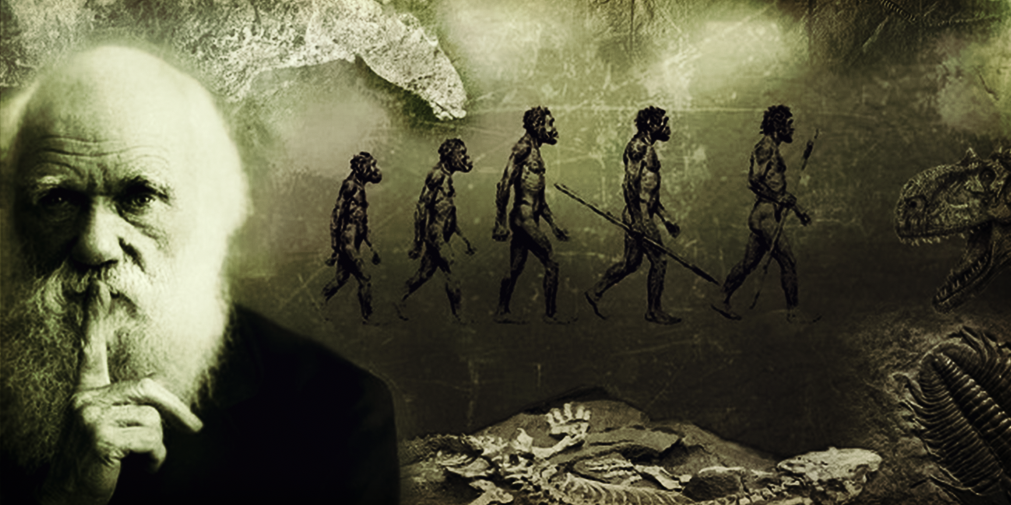 24 ноября – Всемирный день эволюции (World Evolution Day) Чарльз Дарвин — создатель теории эволюции