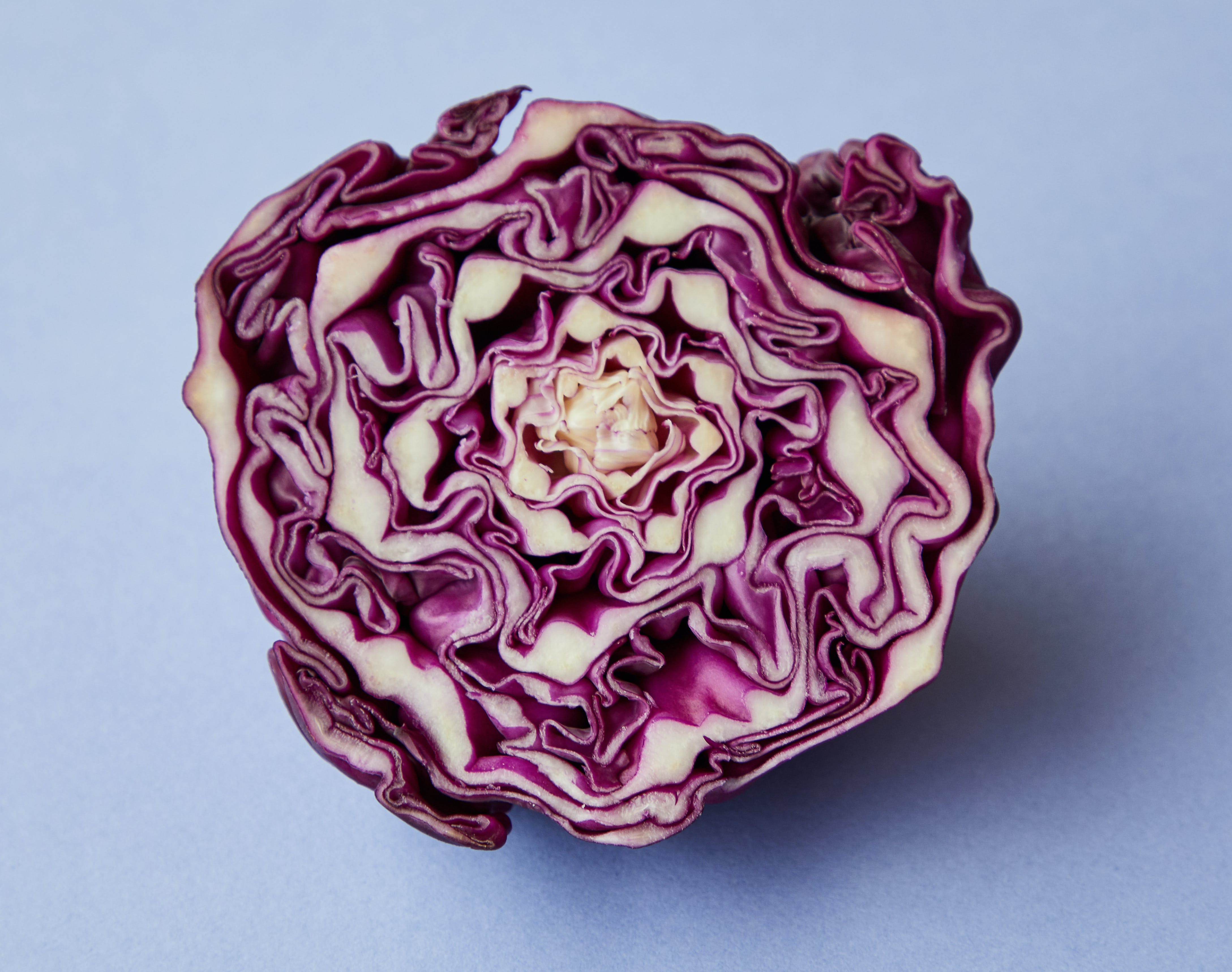 Квашеная фиолетовая капуста: рецепт приготовления