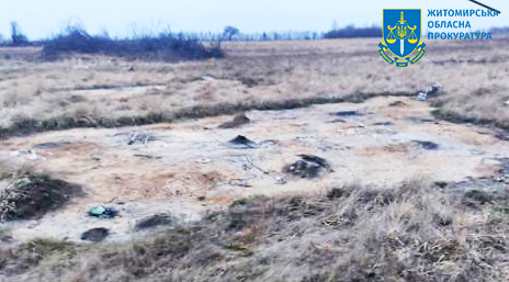 Жители Житомирской области обязали оплатить 1,1 млн грн за загрязнение земли химическими веществами
