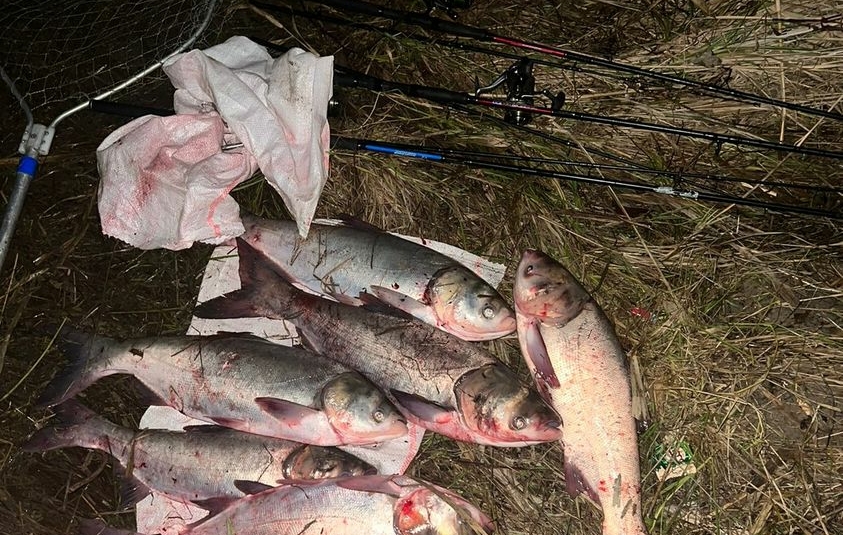 В Одесской области варварским орудием выловили 30 кг рыбы Браконьеры выловили 30 кг рыбы
