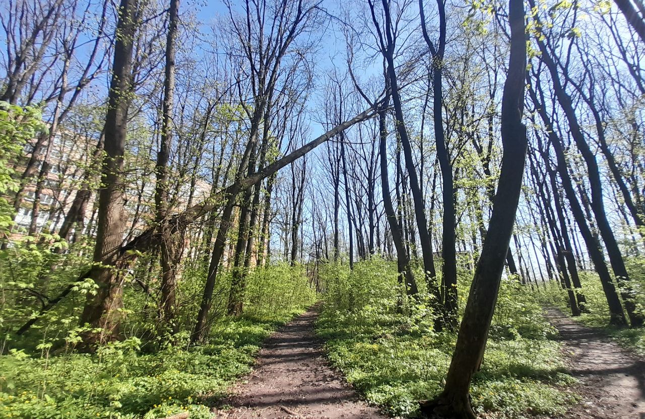 Полтавщина расширила свой природно-заповедный фонд на 1,2 тыс. га Полтавщина расширила свой природно-заповедный фонд на 1,2 тыс. га