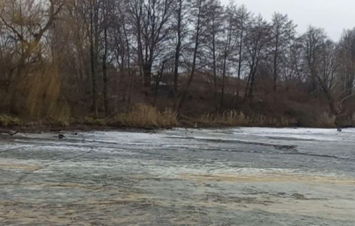 Водоканал сбросил в реку воду с высоким содержанием химикатов