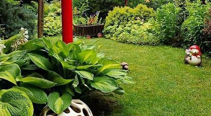 Красивая клумба из хвойных и цветов: секреты и советы (ФОТО) Фото: Телеграмм-канал «Дача. Сад и огород»
