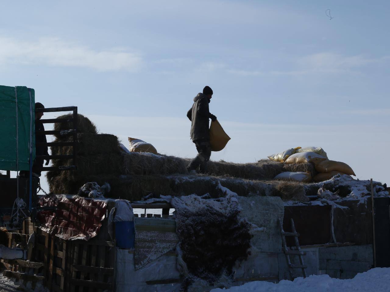 Монголия Дзуд Экологические проблемы Падеж скота Фото