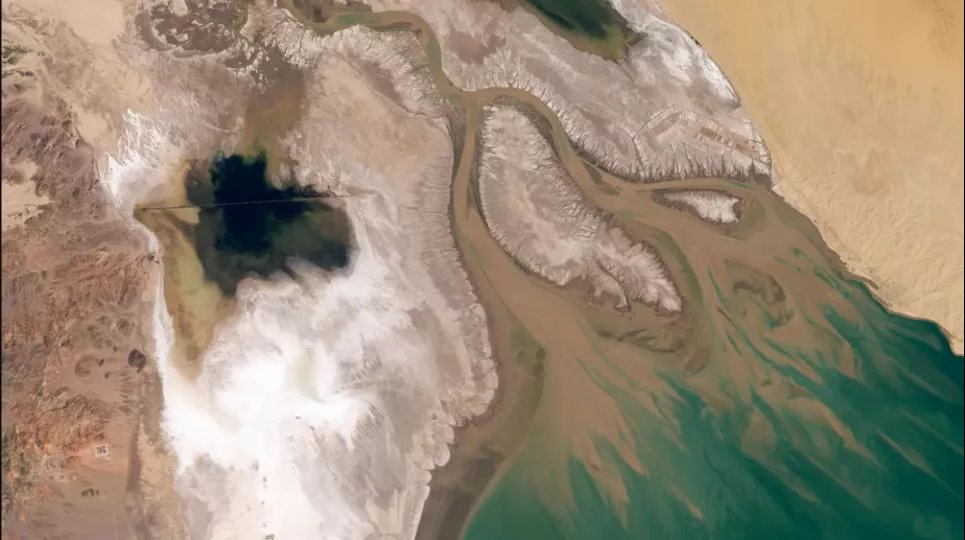 Многие пышные лагуны в дельте реки Колорадо превратились в солончаки. Обсерватории Земли NASA. Фото: Лорен Дофин (Lauren Dauphin), с использованием данных Landsat от Геологической службы США