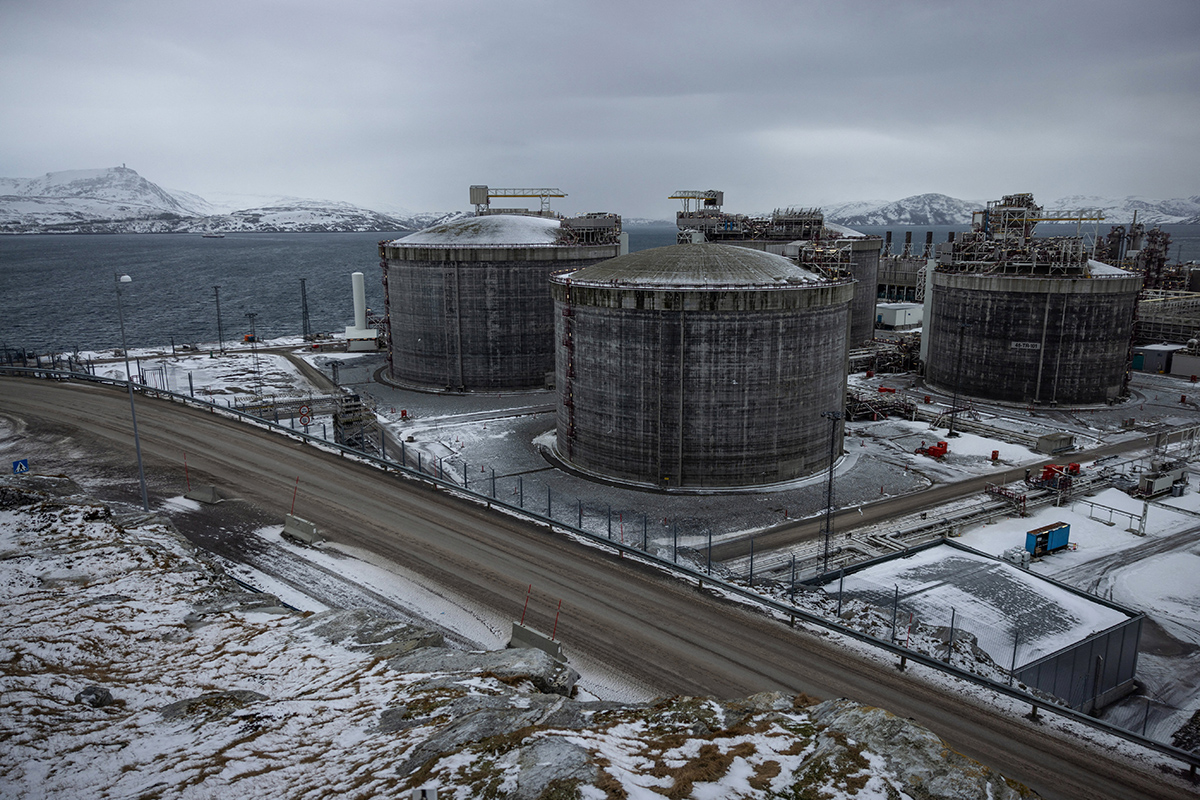 Екологічні проблеми Зміни клімату Норвегія Олені Фото