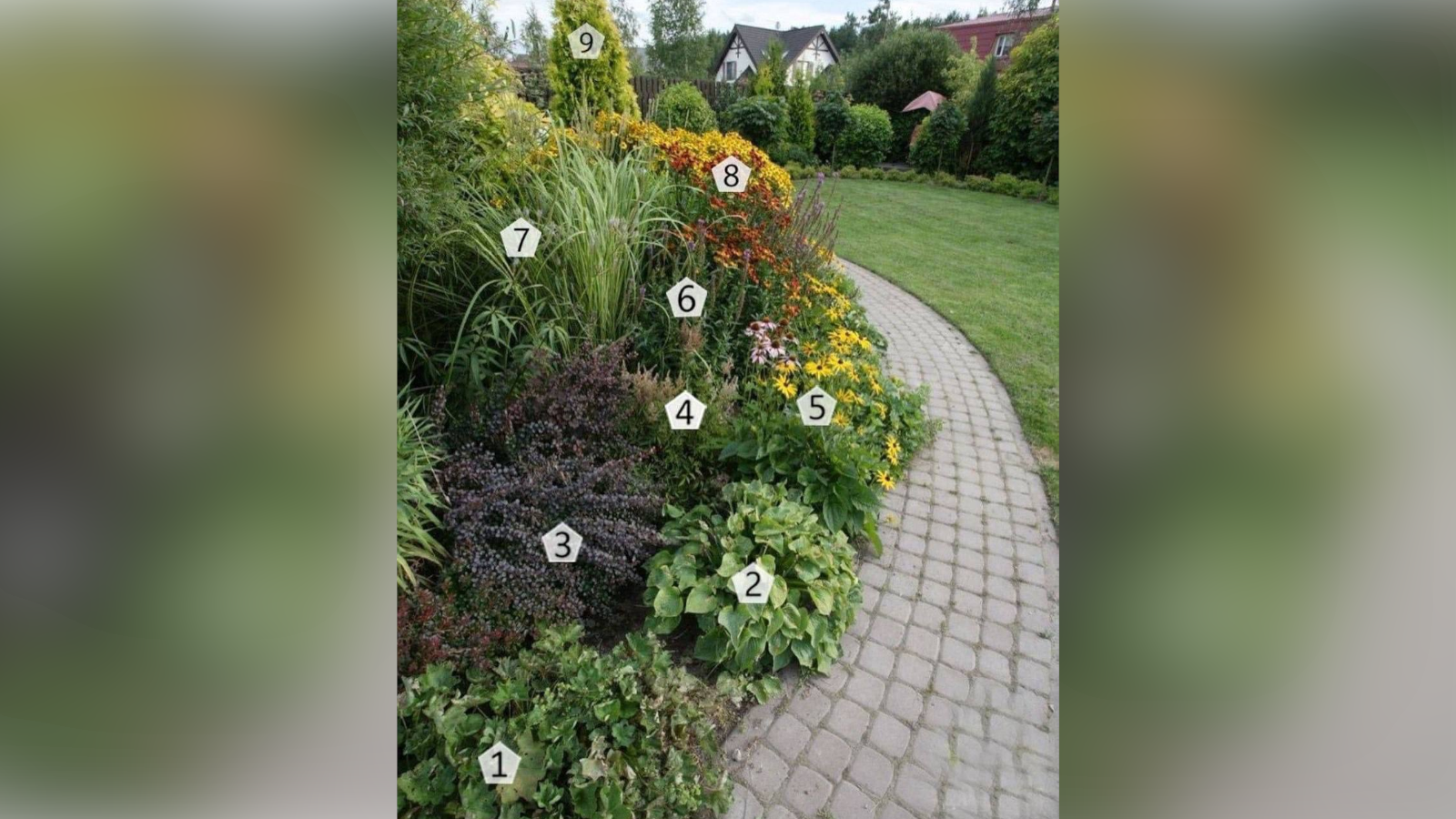 Әдемі қыздар шешінді Сантехник секс видео