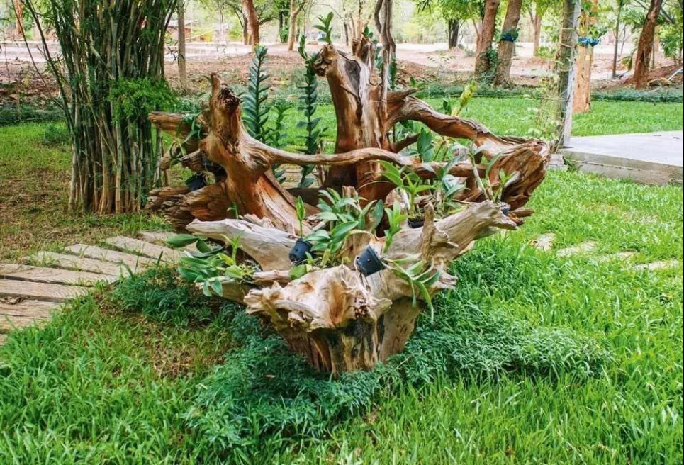 Рутарий – превращение отходов в искусство природы (ФОТО) Фото: Телеграмм-канал «Садовник»