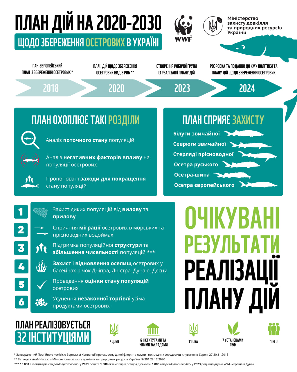 Як придбати чорну ікру та осетрину без шкоди для природи і власного здоров'я. Фото: WWF-Україна