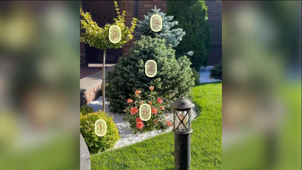 Стильная клумба на участке (ФОТО) Фото: Телеграм-канал «Дача. Сад та місто»