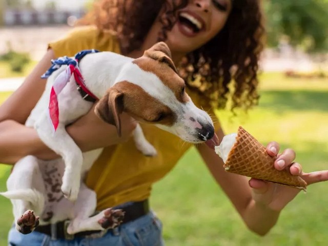  Морозиво для собак