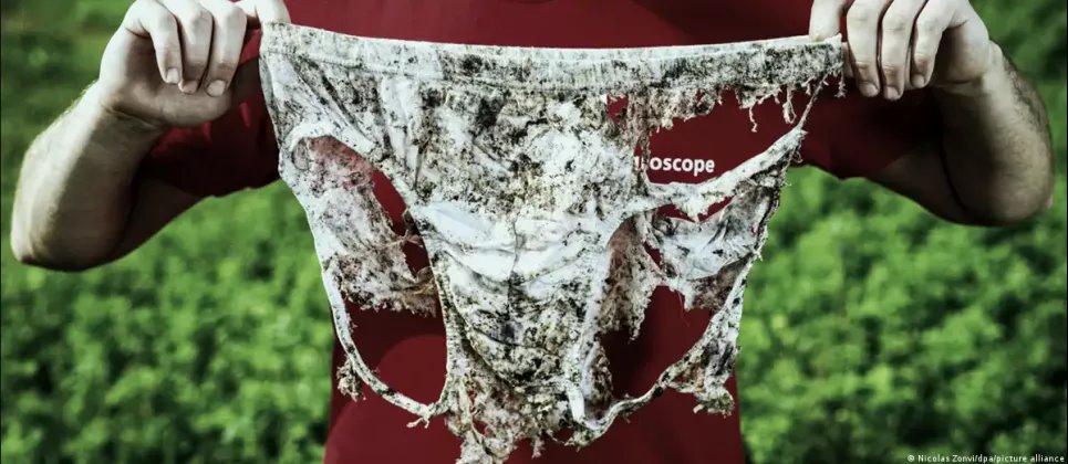 Трусы как индикатор здоровья почвы: в Германии стартовала необычная экологическая акция-эксперимент (ФОТО) Эта фотография была сделана во время швейцарской акции 2021 г. В ней приняли участие около 2 тысяч исследователей-добровольцев. Чем меньше осталось ткани, тем лучше качество почвы. Фото: Nicolas Zonvi/dpa/picture alliance