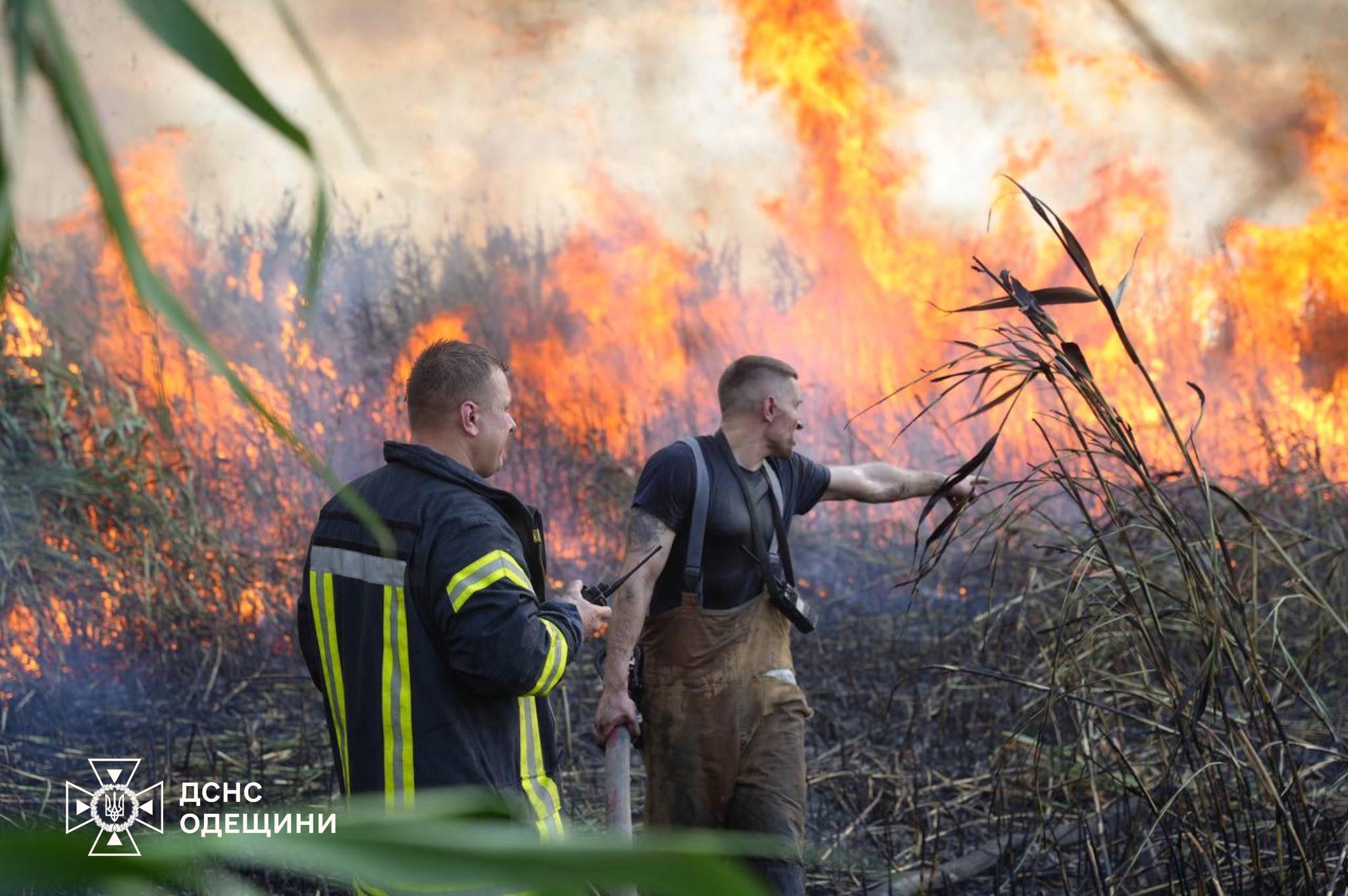 Рятувальники ліквідували масштабну пожежу в екосистемах на Одещині