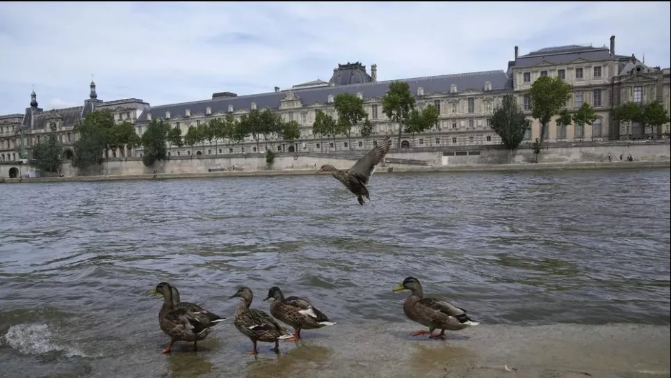 Уже около 100 лет купание в Сене было запрещено. Через несколько недель там должны открыться Олимпийские игры — и пловцы сразятся между собой. Фото: Кристоф Эна/AP/dpa