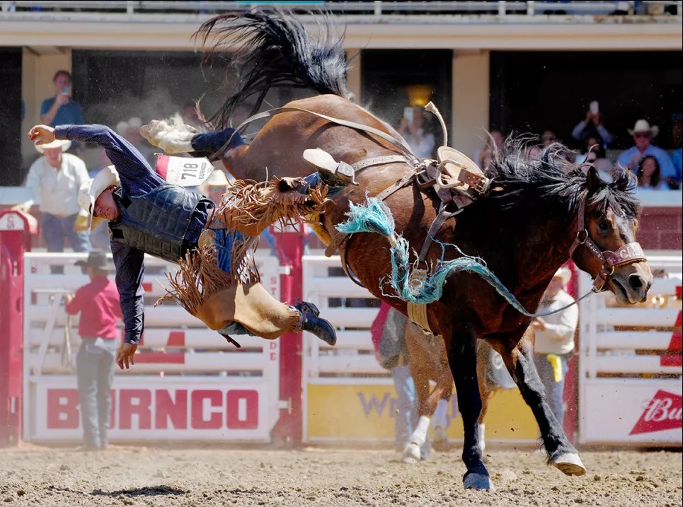 Истан Вест из Нью-Андервуда (Южная Дакота) падает с лошади во время родео среди новичков на фестивале Calgary Stampede в Калгари, Альберта, Канада, 8 июля 2024 года. Фото: Reuters