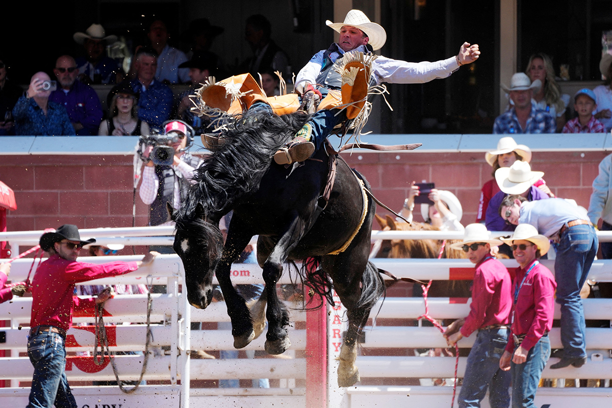 Calgary Stampede Канада Ковбої Родео Фестиваль Фото 