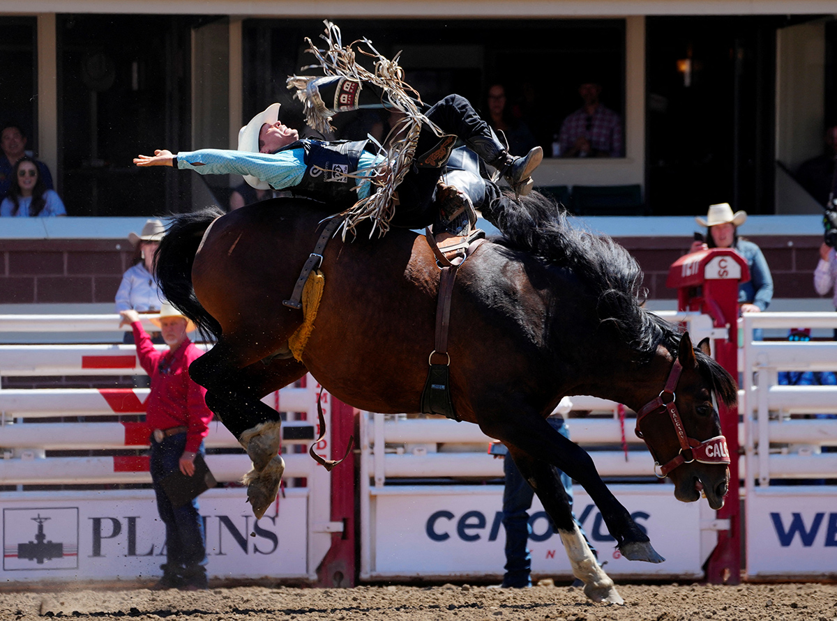 Calgary Stampede Канада Ковбої Родео Фестиваль Фото 