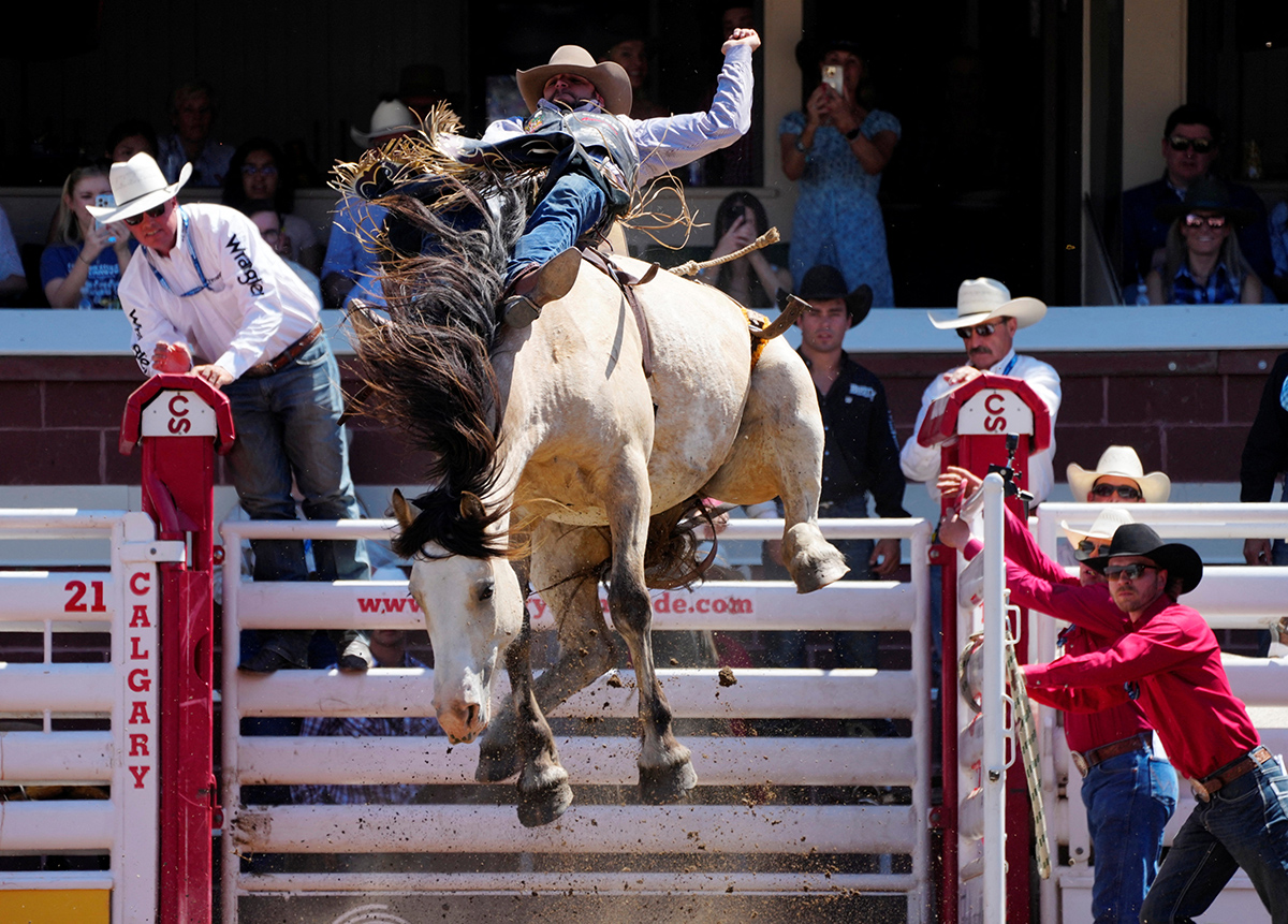 Calgary Stampede Канада Ковбої Родео Фестиваль Фото 