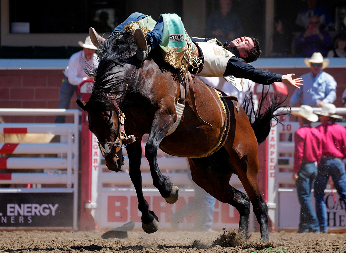 Calgary Stampede Канада Ковбої Родео Фестиваль Фото 